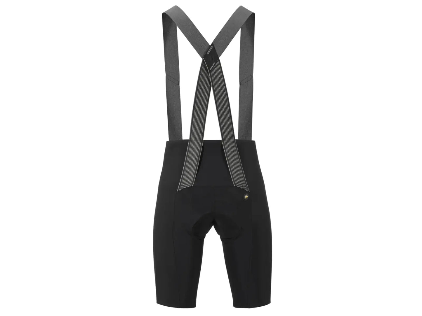 Assos Mille GTO C2 Bib Shorts Long Series